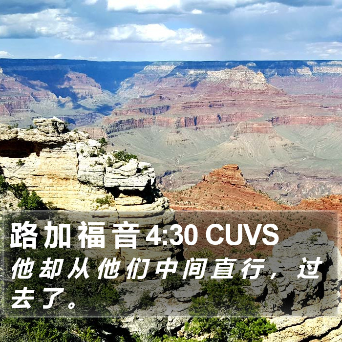 路 加 福 音 4:30 CUVS Bible Study