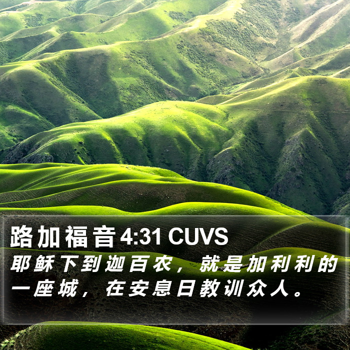路 加 福 音 4:31 CUVS Bible Study