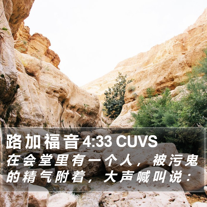 路 加 福 音 4:33 CUVS Bible Study