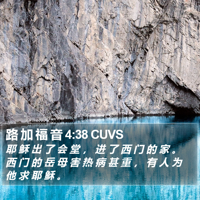 路 加 福 音 4:38 CUVS Bible Study