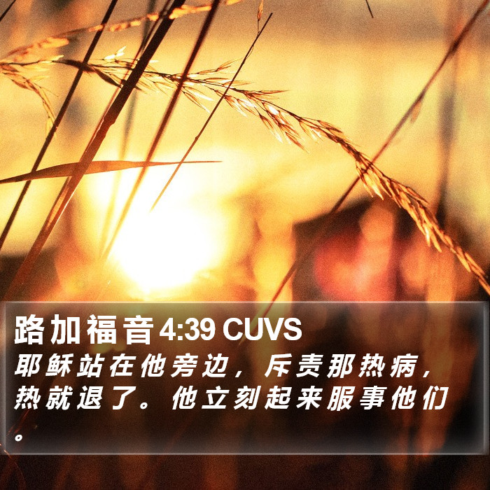 路 加 福 音 4:39 CUVS Bible Study