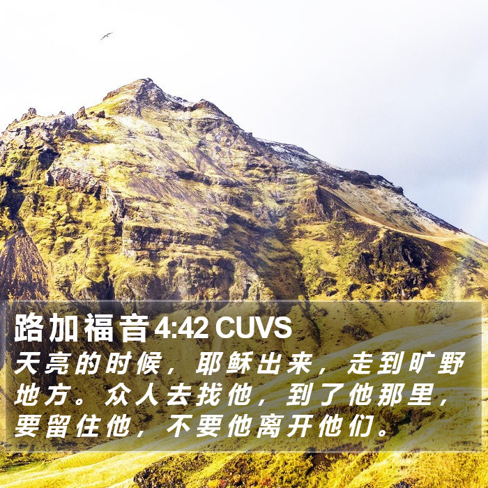 路 加 福 音 4:42 CUVS Bible Study