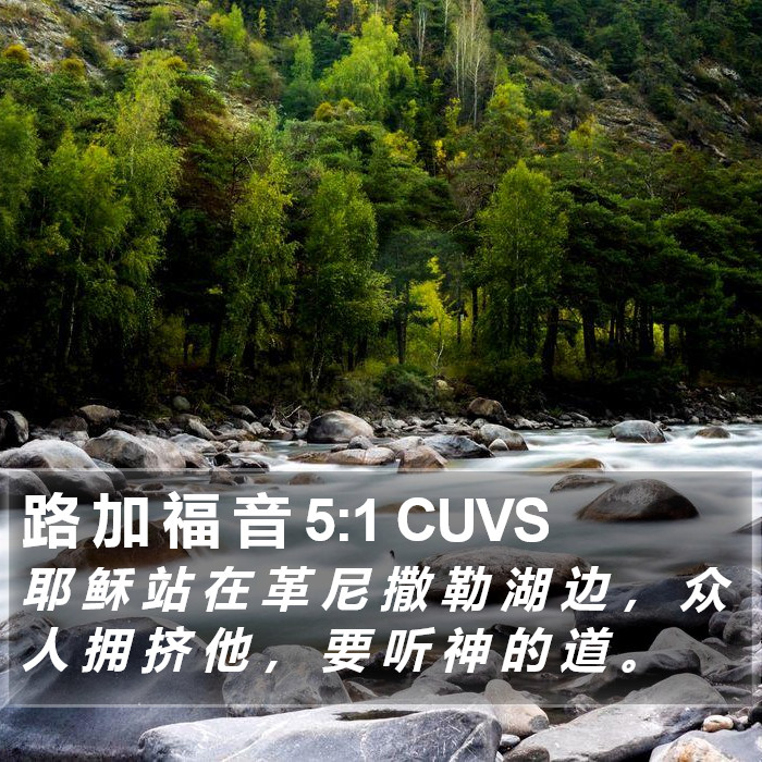 路 加 福 音 5:1 CUVS Bible Study
