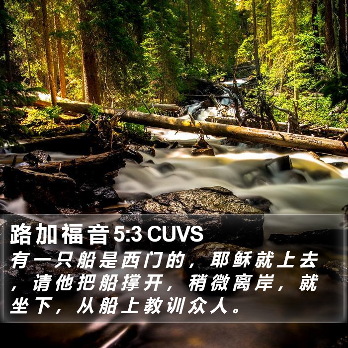 路 加 福 音 5:3 CUVS Bible Study