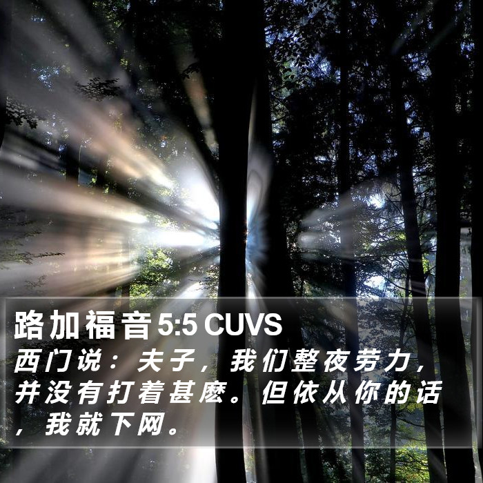路 加 福 音 5:5 CUVS Bible Study