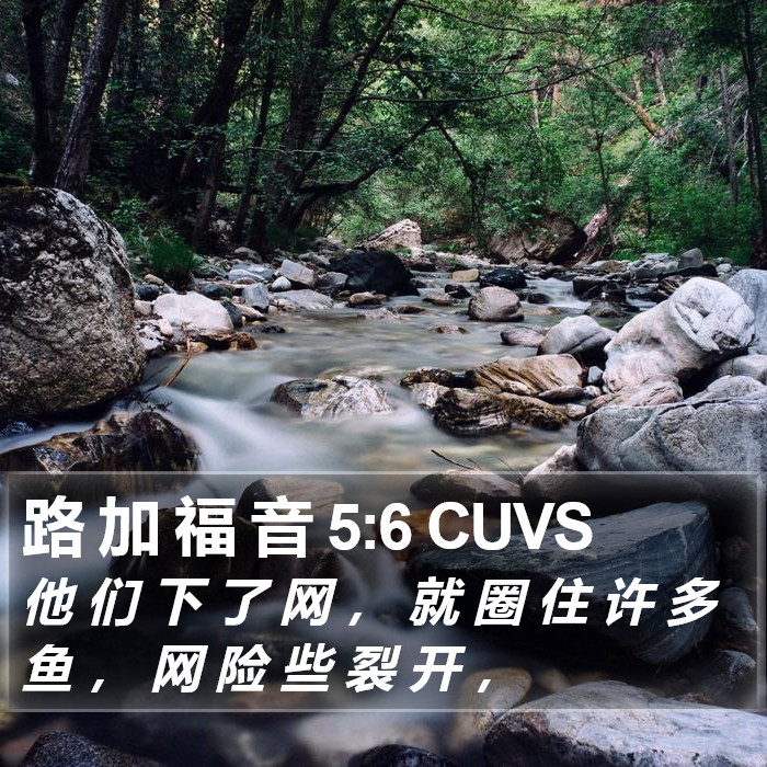 路 加 福 音 5:6 CUVS Bible Study