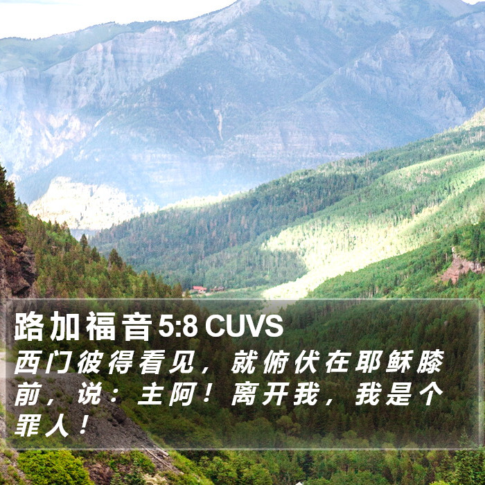 路 加 福 音 5:8 CUVS Bible Study