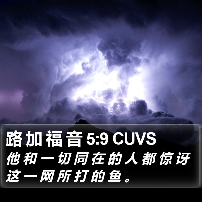 路 加 福 音 5:9 CUVS Bible Study