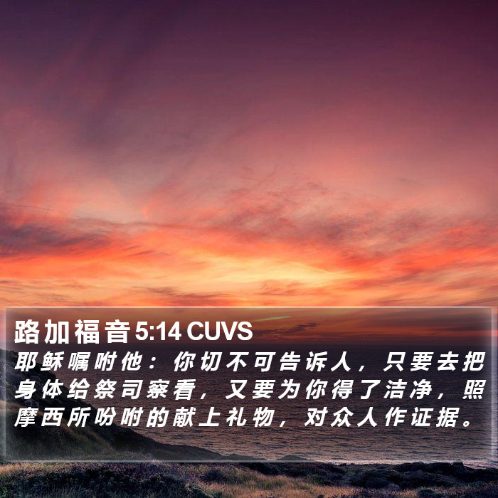 路 加 福 音 5:14 CUVS Bible Study