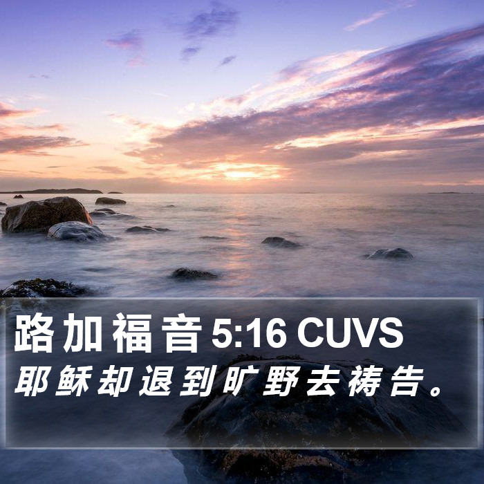 路 加 福 音 5:16 CUVS Bible Study