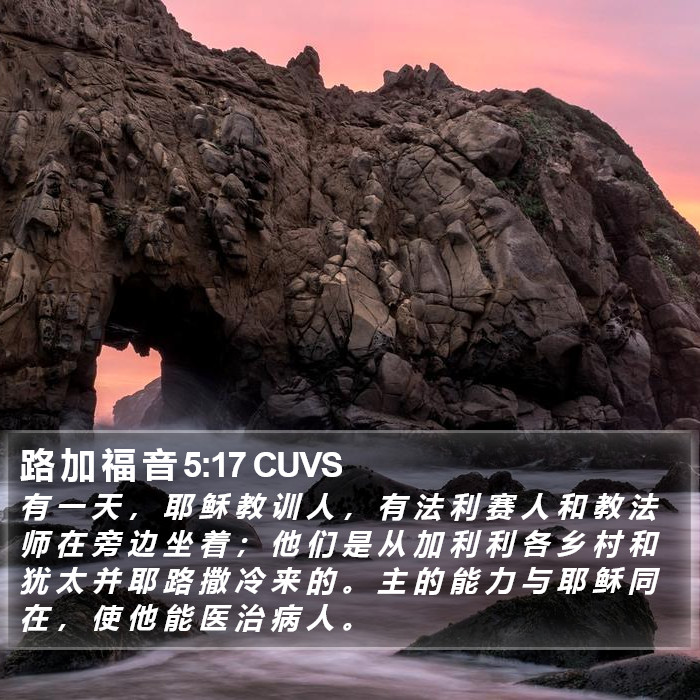 路 加 福 音 5:17 CUVS Bible Study