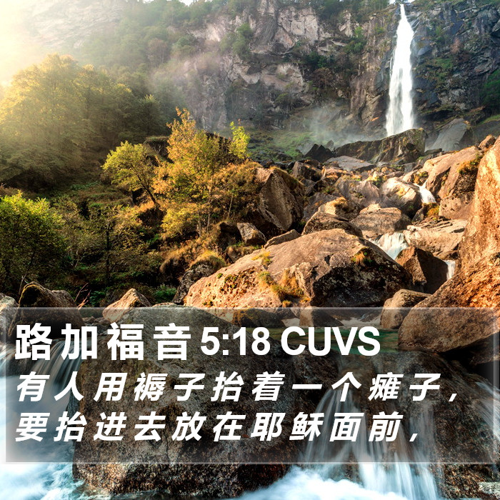 路 加 福 音 5:18 CUVS Bible Study