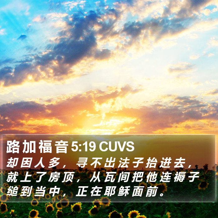 路 加 福 音 5:19 CUVS Bible Study