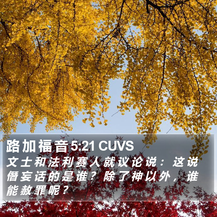 路 加 福 音 5:21 CUVS Bible Study