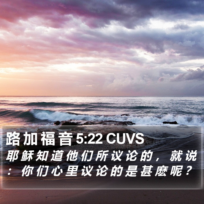 路 加 福 音 5:22 CUVS Bible Study