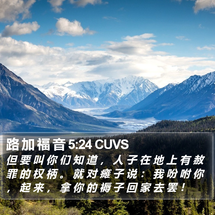 路 加 福 音 5:24 CUVS Bible Study