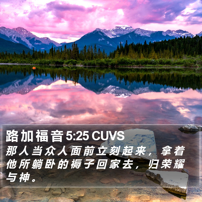 路 加 福 音 5:25 CUVS Bible Study