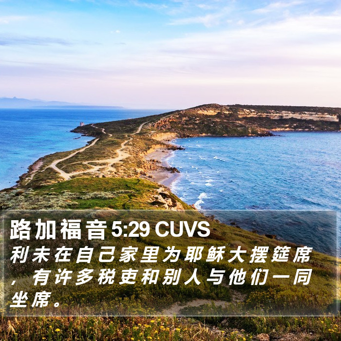 路 加 福 音 5:29 CUVS Bible Study