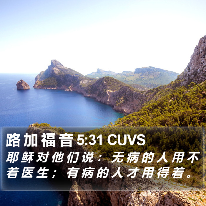 路 加 福 音 5:31 CUVS Bible Study