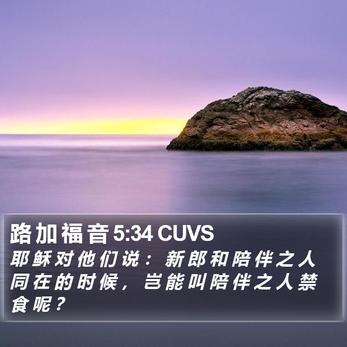 路 加 福 音 5:34 CUVS Bible Study