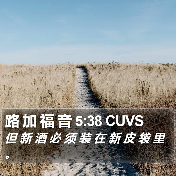 路 加 福 音 5:38 CUVS Bible Study