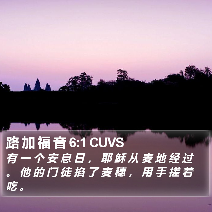 路 加 福 音 6:1 CUVS Bible Study