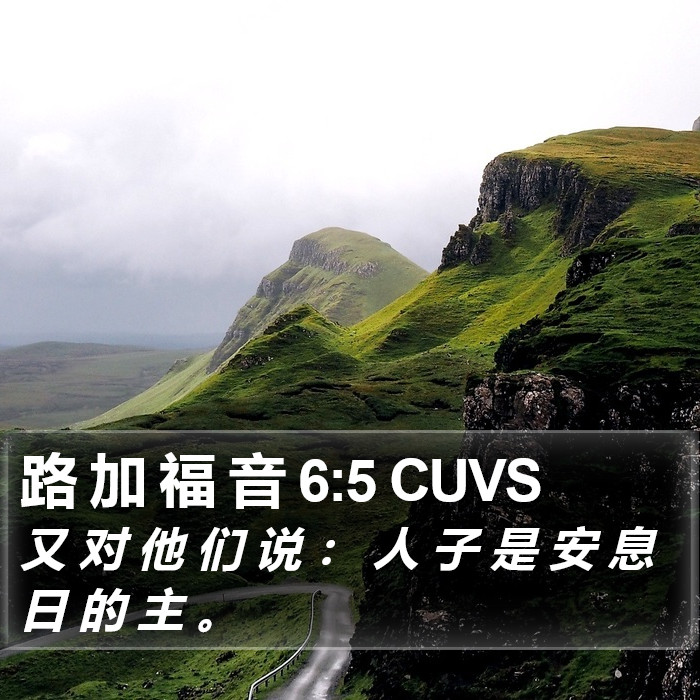 路 加 福 音 6:5 CUVS Bible Study