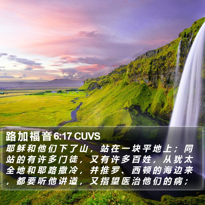 路 加 福 音 6:17 CUVS Bible Study