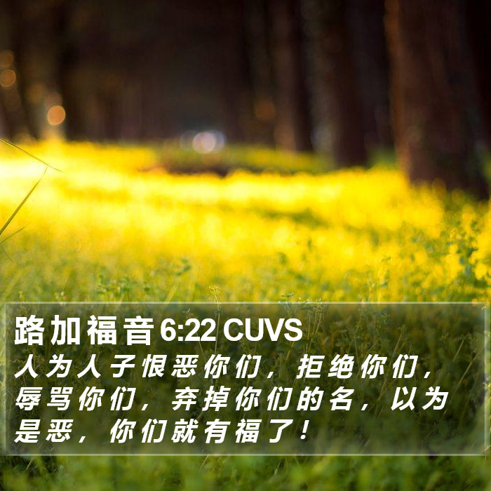路 加 福 音 6:22 CUVS Bible Study