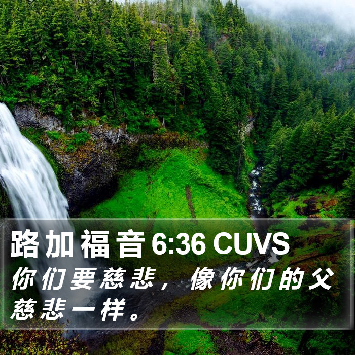 路 加 福 音 6:36 CUVS Bible Study