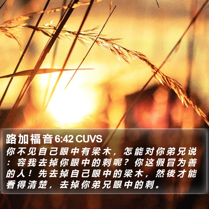 路 加 福 音 6:42 CUVS Bible Study