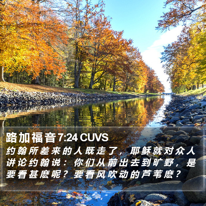 路 加 福 音 7:24 CUVS Bible Study