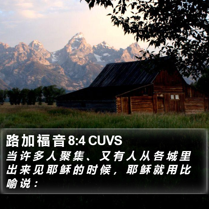 路 加 福 音 8:4 CUVS Bible Study