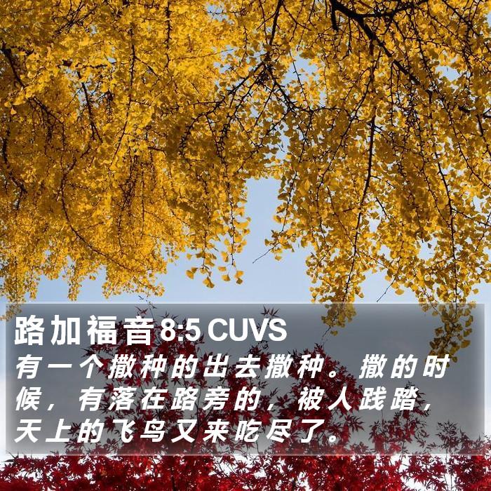 路 加 福 音 8:5 CUVS Bible Study