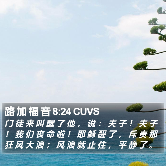 路 加 福 音 8:24 CUVS Bible Study