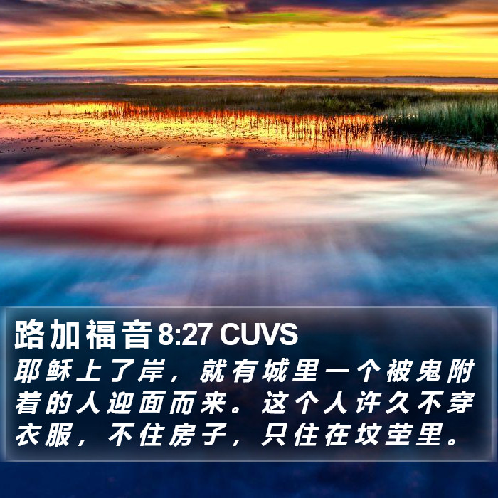 路 加 福 音 8:27 CUVS Bible Study