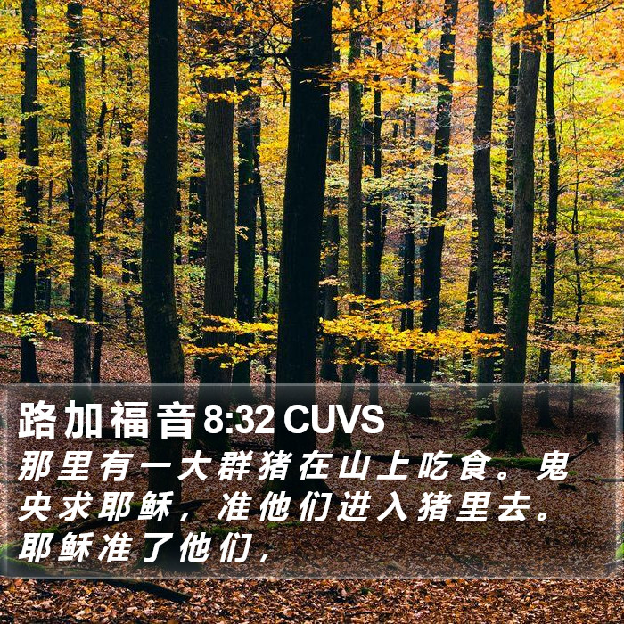 路 加 福 音 8:32 CUVS Bible Study