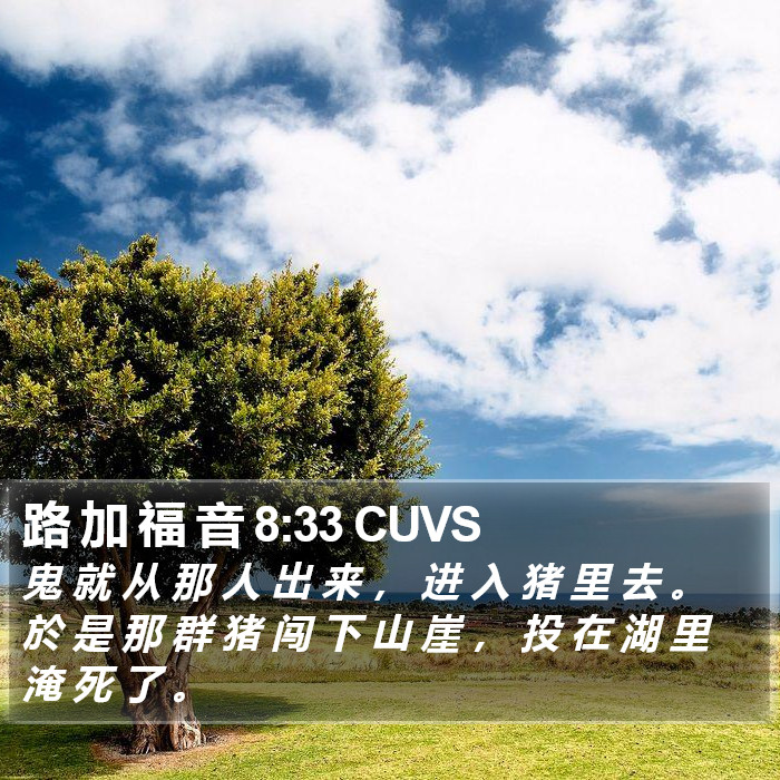 路 加 福 音 8:33 CUVS Bible Study