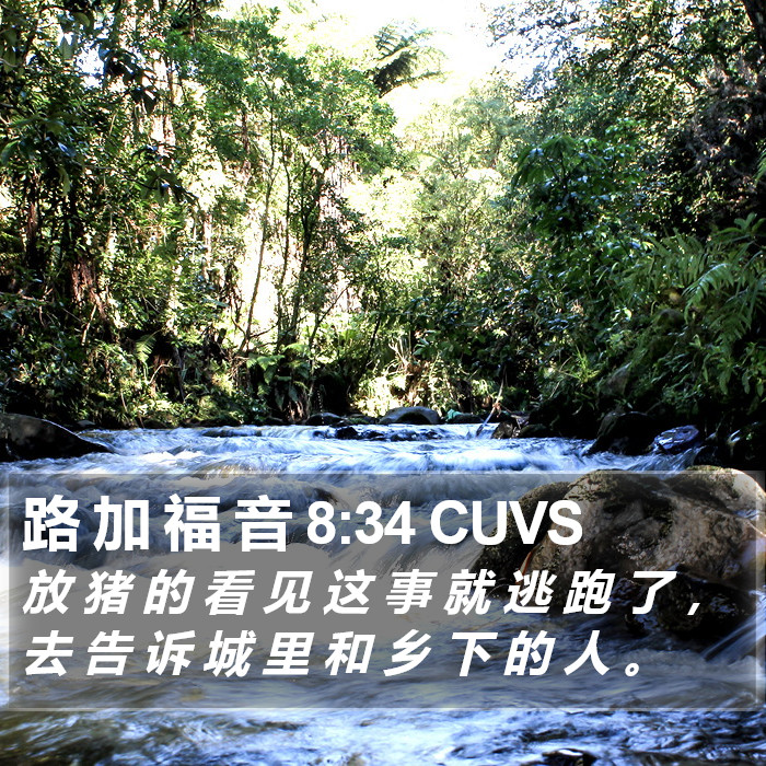路 加 福 音 8:34 CUVS Bible Study