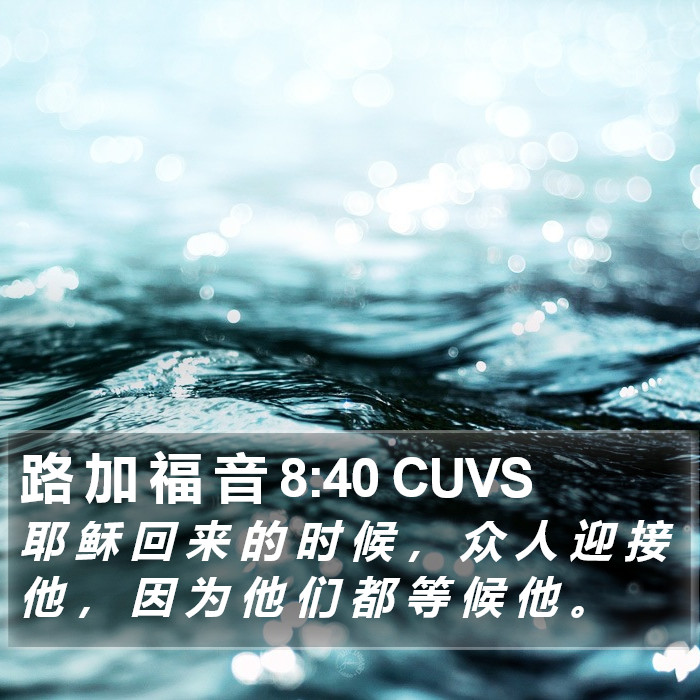路 加 福 音 8:40 CUVS Bible Study