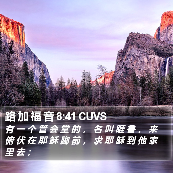 路 加 福 音 8:41 CUVS Bible Study