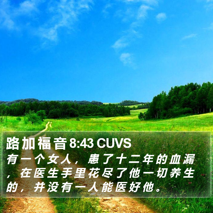 路 加 福 音 8:43 CUVS Bible Study