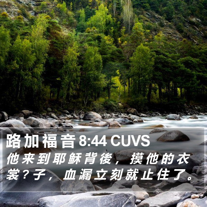 路 加 福 音 8:44 CUVS Bible Study