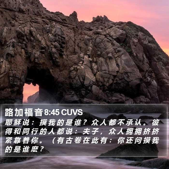 路 加 福 音 8:45 CUVS Bible Study