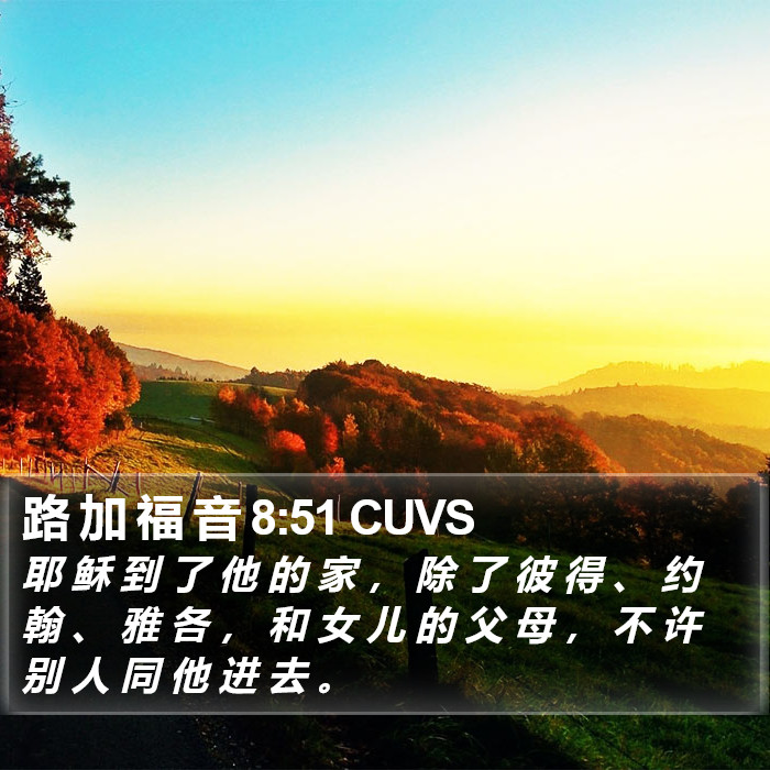 路 加 福 音 8:51 CUVS Bible Study