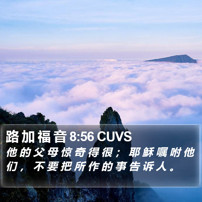 路 加 福 音 8:56 CUVS Bible Study