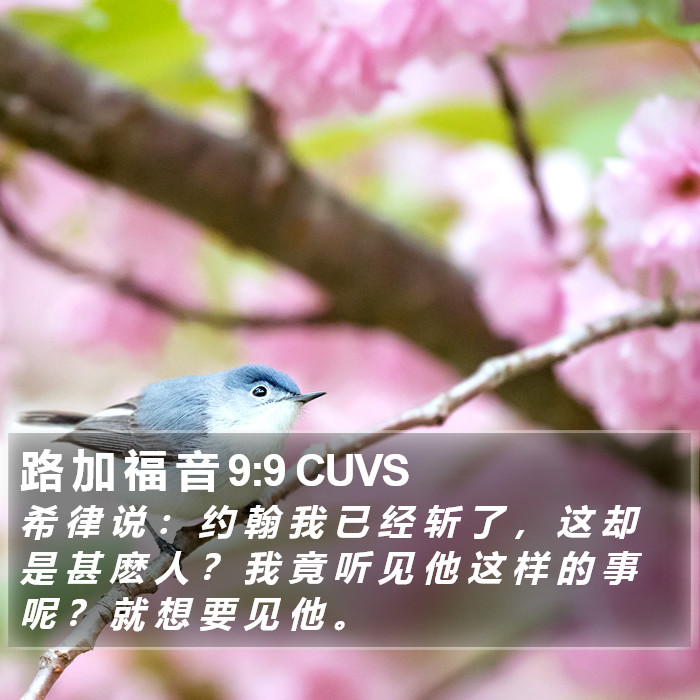 路 加 福 音 9:9 CUVS Bible Study