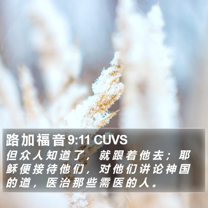 路 加 福 音 9:11 CUVS Bible Study