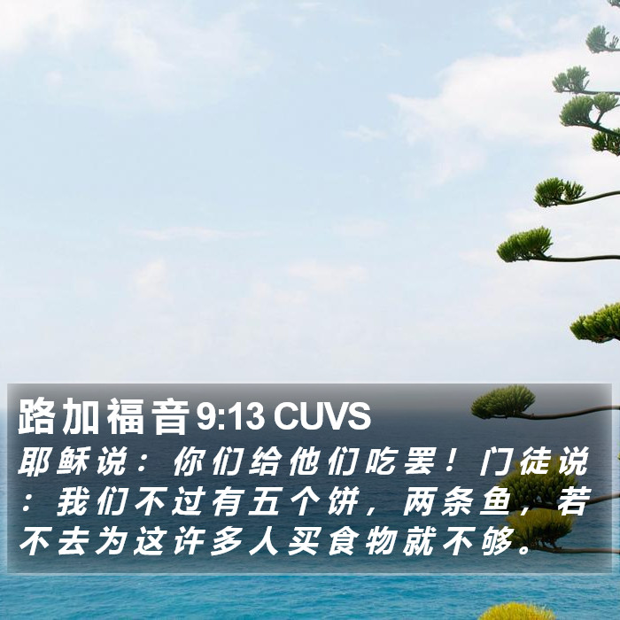路 加 福 音 9:13 CUVS Bible Study