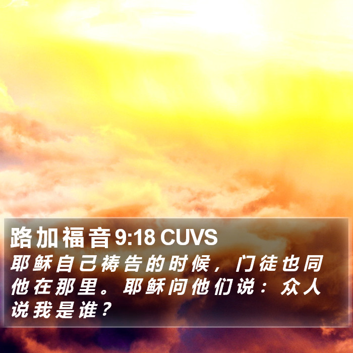 路 加 福 音 9:18 CUVS Bible Study